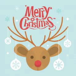 WrapItSmart Merry Christmas Gift Wrapping & Card Christmas In July